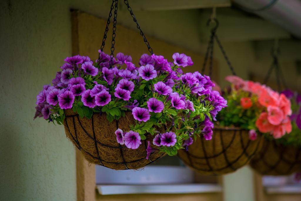 Guest House A'Storia Ruma Dış mekan fotoğraf